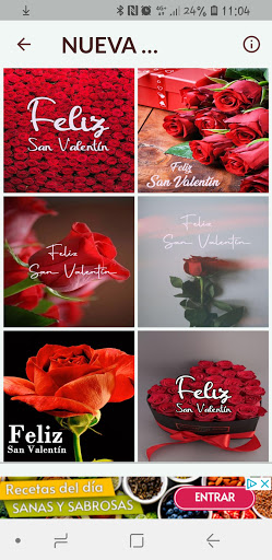 DÍA DE LOS ENAMORADOS ROSAS Screen 2