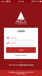 Vista previa de la aplicación