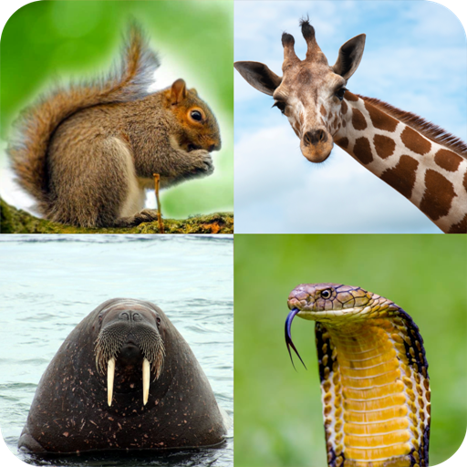 Animal Quiz: Guess the Animal