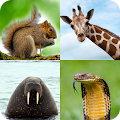 Download Quiz sur les animaux 1.1.31 Apk for android