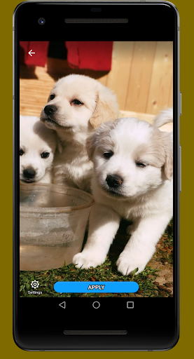 Cute Puppies Video Wallpapers Screen 2