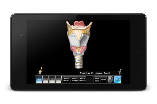 Android application Larynx ID screenshort