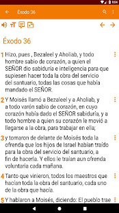 Bible explained in Spanish