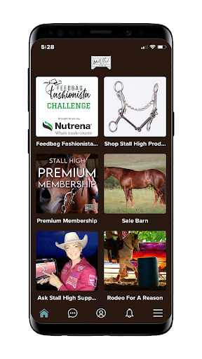 Stall High Screen 2