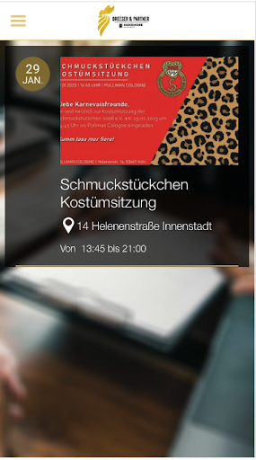 Dreeser&Partner Screen 3