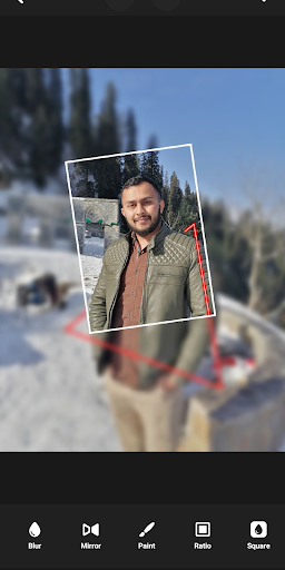 Photo Toon and Editor