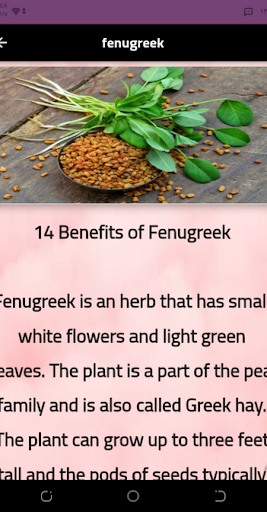 herbs Screen 3