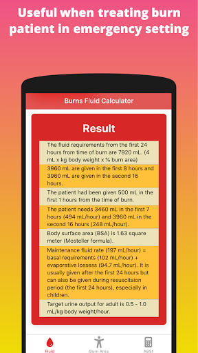 Burns Fluid Calculator Screen 2