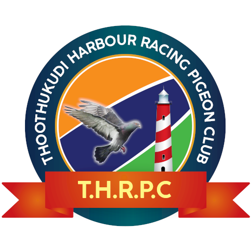 Thoothukudi Harbour Racing Pig  Icon