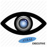 Phone-Virtual EYE Standard RO icon