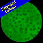 Microscope Virtual Cells Full