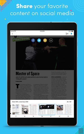 Screenshot of Black Belt