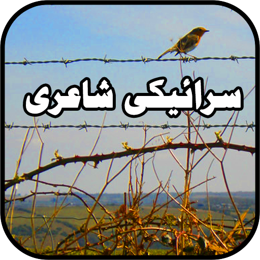 Saraiki Status: سرائیکی شاعری Screen 3