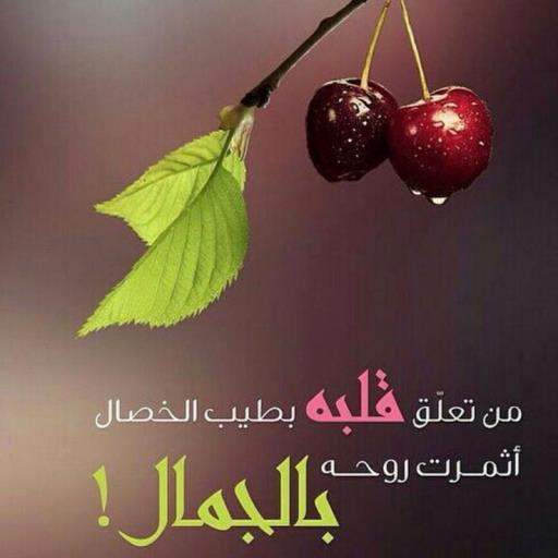 عبارات جميله من الحياه logo