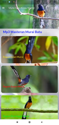 Masteran Murai Batu Gacor Screen 2