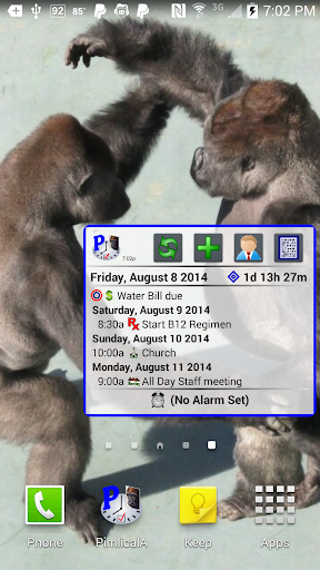 Pimlical Calendar Widget Screen 3