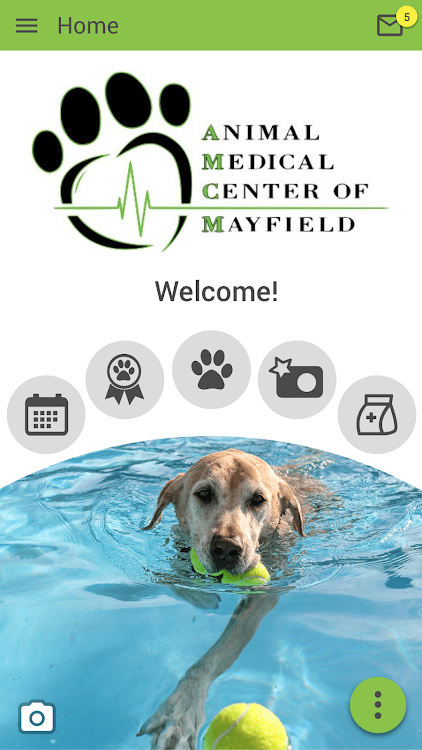 AMC of Mayfield - 300000.3.47 - (Android)