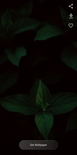 Android application Louvre - HD Awesome Wallpapers screenshort