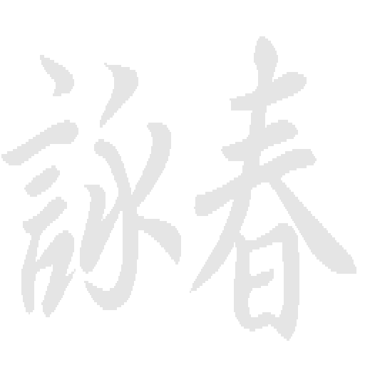 詠春拳良伴 Ving Tsun Kuen Companion Download on Windows