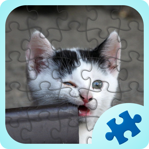 Funny Animals Jigsaw Puzzles logo