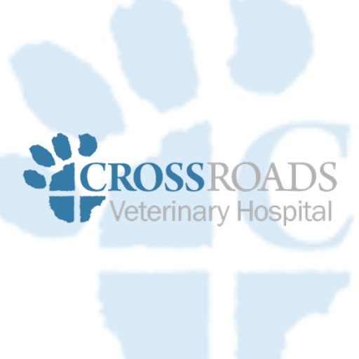 Crossroads Vet Hospital logo