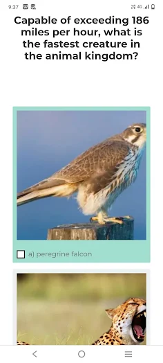 animal quiz with answer - Screenshot 3