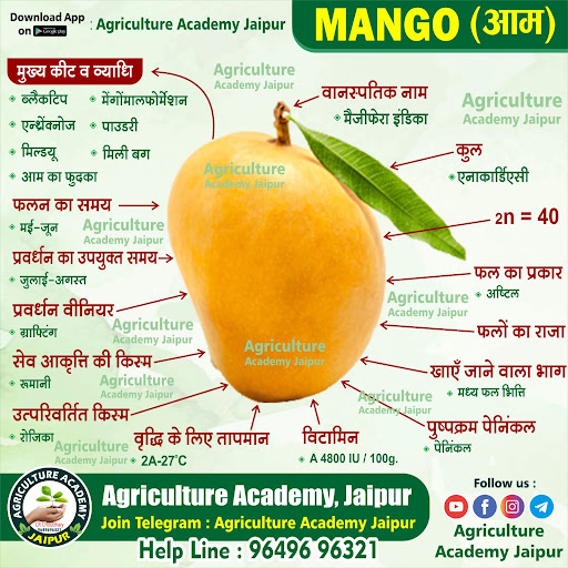 Agriculture Academy Jaipur Screen 3