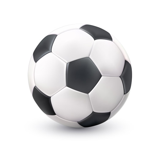 La Futbolera logo