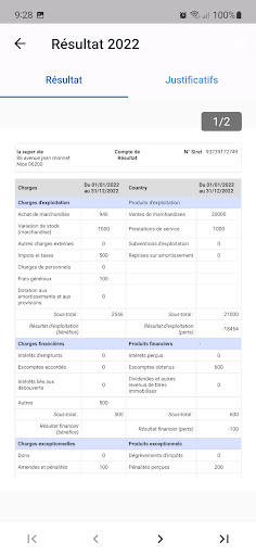 Compte de résultat Générateur Screen 2