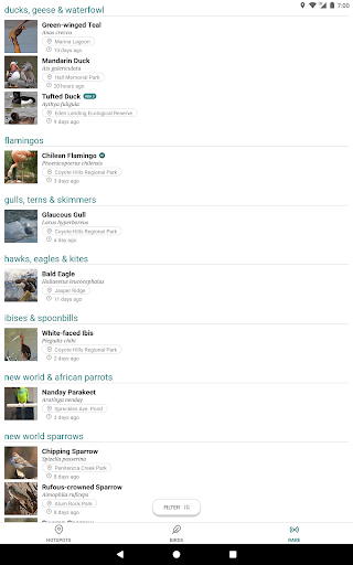 Screenshot of GoBird - Guide to Nearby Birds