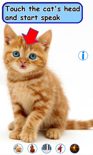 Talking, Dancing Cat.