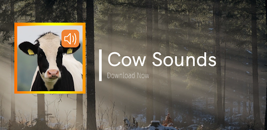 Cow Sounds App