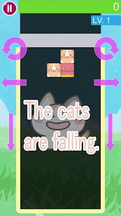 Fall Cats - Screenshot 1