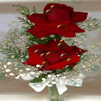 Red Roses Bubble LWP