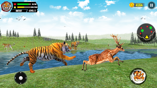 Wild Tigeral Games 3D