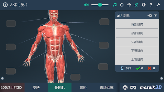 人体 男 互动教育3d Google Play 上的应用