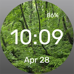 Icon image