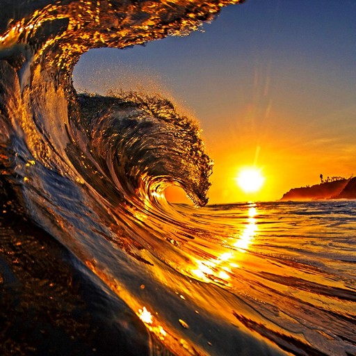 Wave Wallpapers logo