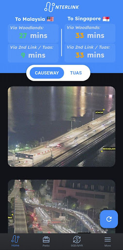 Interlink  SG and JB Cameras