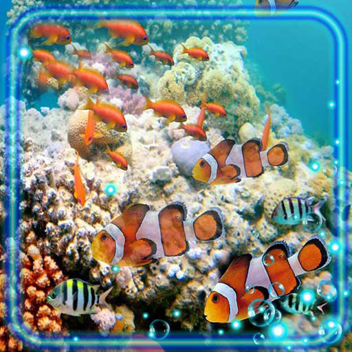 Fishes Sea Wallpaper