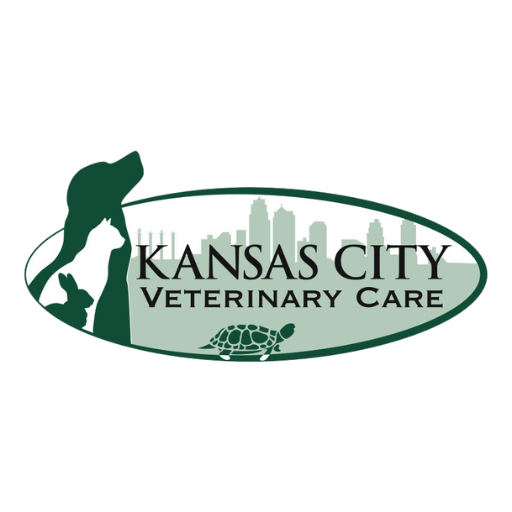 Download APK Kansas City Vet Care Latest Version