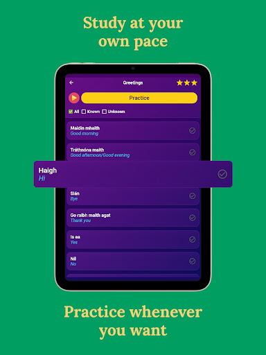 Learn Irish - Beginners screenshot 10