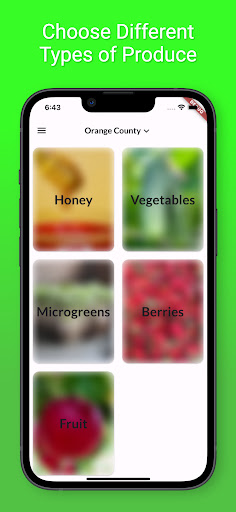 Green Gardens Screen 3