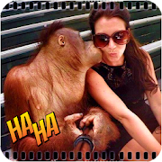 Funny Videos 2019 viral compilation