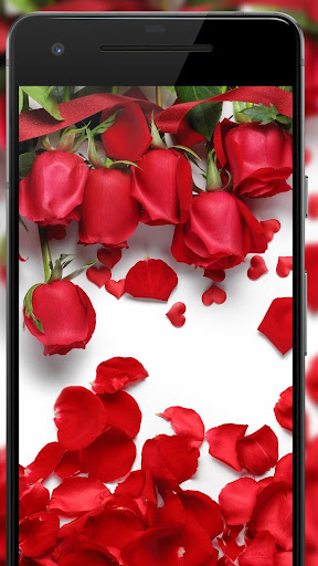 Rose Flower Wallpapers Rosefy Apps On Google Play - Hd Rose Wallpapers For Android Phone