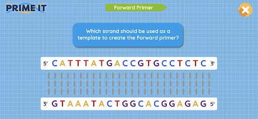 Prime It DNA Game Screen 3