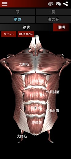 筋肉系3D（解剖学）のおすすめ画像3