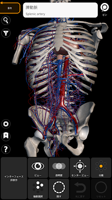 解剖学 - 3Dアトラスのおすすめ画像2