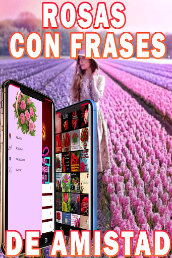 Images of Beautiful Roses with