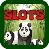 Panda Bear Slot icon